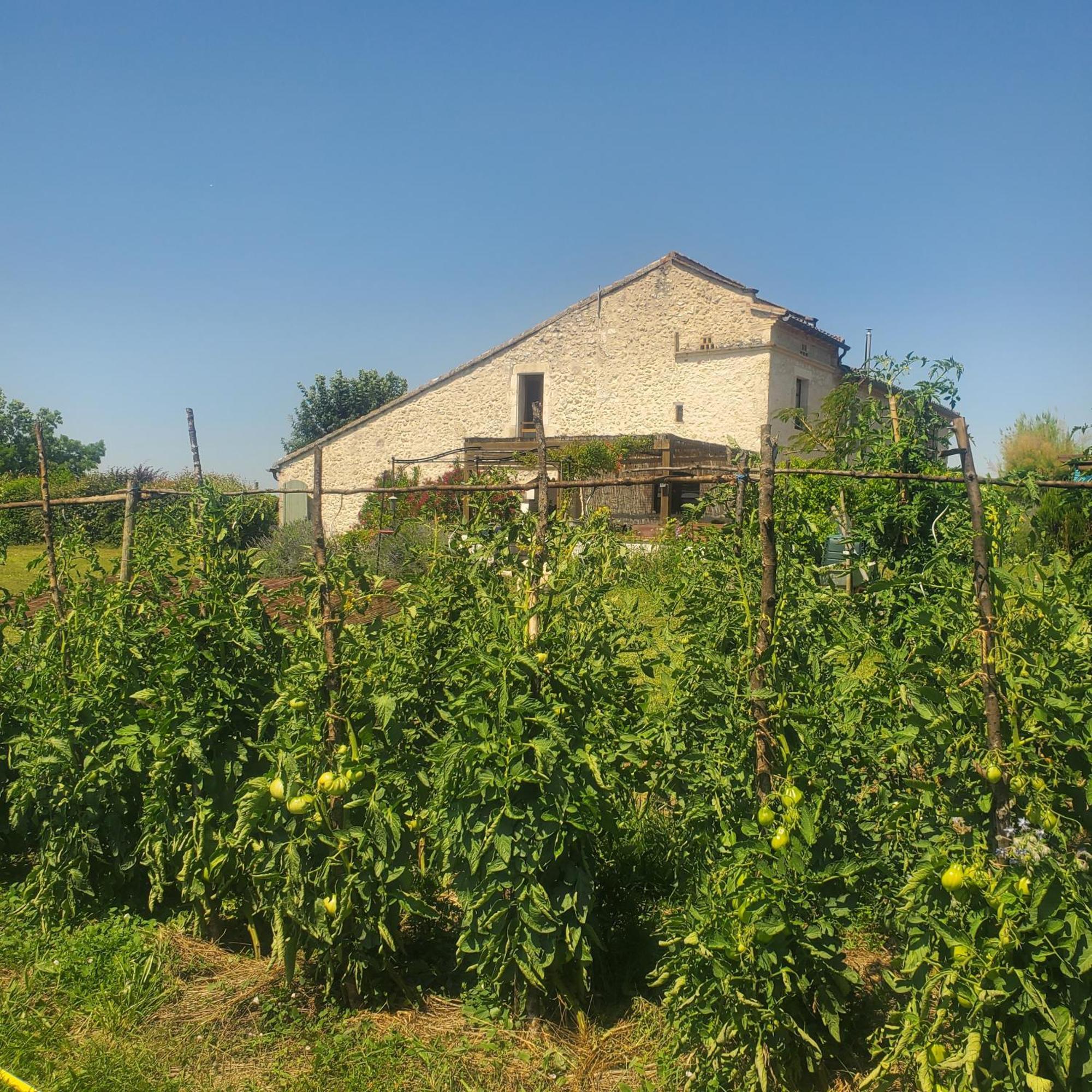 Au Mas De Janita Hotel Cahuzac-sur-Vere Luaran gambar